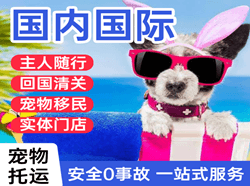 花果山机场托运国际宠物托运 【国